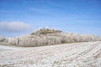 The Mägdeberg with castle ruins in winter, with hoarfrost, District of Constance,