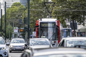 Local transport, Rheinbahn trams, on Graf-Adolf-Straße, North Rhine-Westphalia, Germany, Europe