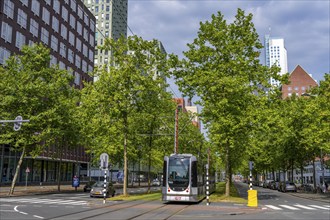 Urban greening, inner-city street Laan op Zuid, in Rotterdam's Feijenoord district, 4 lanes, 2 tram