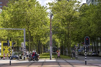 Urban greening, inner-city street Laan op Zuid, in Rotterdam's Feijenoord district, 4 lanes, 2 tram