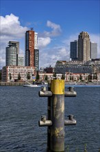 Harbour basin of the Maashaven, inland waterway port, jetties, residential buildings in the Kop van