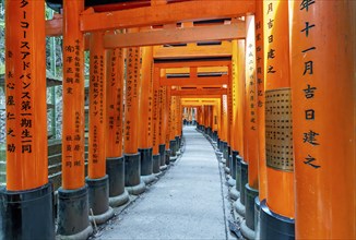 Torii path, Fushimi Inari-Taisha shrine, Kyoto, Japan, Asia