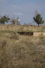 Granada, Colorado, The World War II Amache Japanese internment camp in southeast Colorado. More