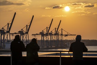 Hamburg Dockland building, viewing platform, view of the Elbe and the Container Terminal