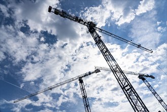 Construction cranes on two large construction sites, construction of office buildings in