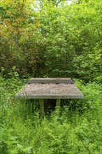 Lost Places, old table tennis table on an abandoned, closed playground, overgrown and surrounded by