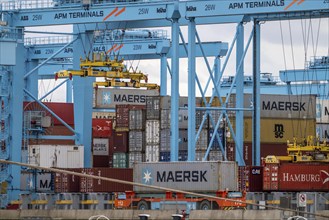 APM Container Terminal, autonomous container transport at the quay, seaport of Rotterdam, deep-sea