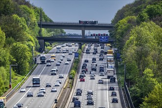 The A3 motorway, heavy traffic on 8 lanes, including the temporarily open hard shoulder, in front