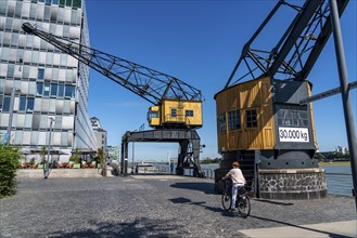 Rheinauenhafen, harbour crane Der Alte Herkules, Cologne-South, residential and office towers,