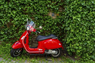 Red Vespa scooter parked in front of a green ivy wall