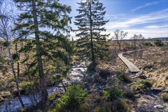 Stream in the High Fens, raised bog, in the Eifel and Ardennes region, High Fens-Eifel nature park