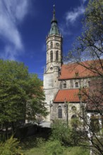 Collegiate Church of St Amandus, Bad Urach, District of Reutlingen, Baden-Württemberg, Germany,