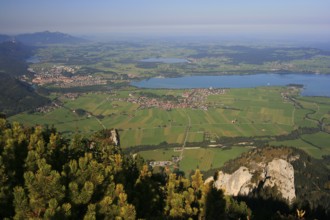 View from Tegelberg to Füssen, Schwangau, Forggensee, Hopfensee, Ostallgäu, Swabia, Bavaria,