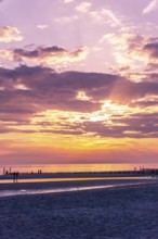 Beautiful Sunset at the Seaside with golden light and Violet clouds