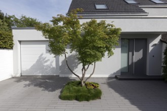 Single-family house, front garden sealed with stone slabs, single tree, Düsseldorf, North