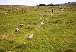 Avenue of standing stones at Merrivale ceremonial complex Dartmoor national park, Devon, England,