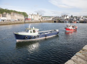 Fishing boats moored in the harbour at Oban, Argyll and Bute, Scotland, UK