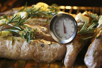 Fillet of Iberico pork in the oven