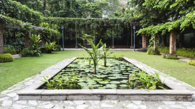 Decorative pond in the Botanic Garden of Singapore