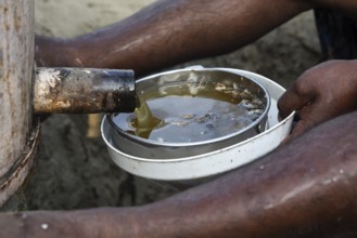 Bee keepers working in a bee farm near a masturd field in a village in Barpeta district of Assam in