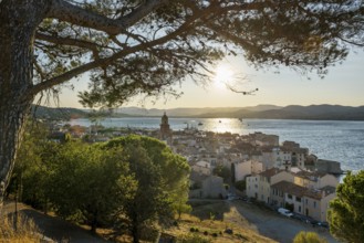 Panorama, Sunset, St. Tropez, Département Var, Cote d'Azur, Provence-Alpes-Côte d'Azur, South of