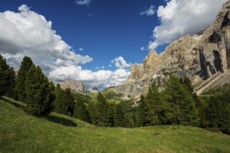 Gardena Pass, Passo Gardena, Puez-Geisler nature park Park, Dolomites, Selva di Val Gardena, South