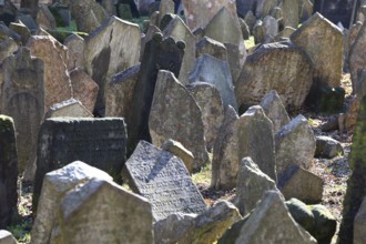 The Old Jewish Cemetery in the Josefov district is one of the most historically significant Jewish