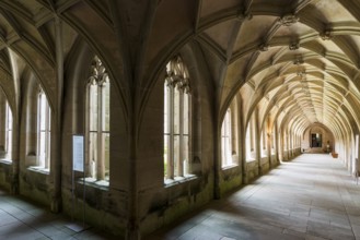 Interior view, cloister, Cistercian monastery Bebenhausen, Tübingen, Baden-Württemberg, Germany,