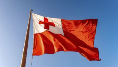 The flag of Tonga, Pacific island state, flutters in the wind, isolated against a blue sky