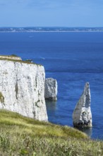 White Cliffs of Old Harry Rocks Jurassic Coast, Dorset Coast, Poole, England, United Kingdom,