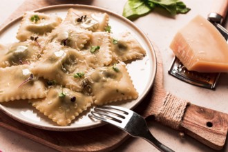 Ravioli with spinach and cheese, vegetarian food, on a beige background, no people.selective focus,