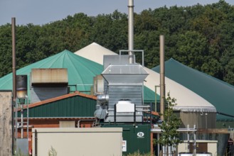 Biogas plant, combined heat and power plants, for power generation, dome-shaped gas storage