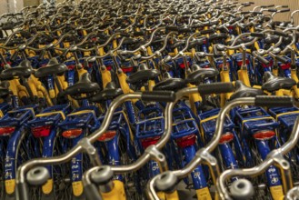 Bicycles at the OV-Fiets rental station, at Utrecht Central Station, hundreds of rental bikes