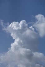 HaufeNorth Rhine-Westphalia clouds, (Cumulus), Bavaria, Germany, Europe