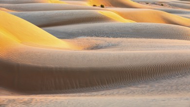 Sand structure formed by the wind, in the Rub al Khali desert, Dhofar province, Arabian Peninsula,