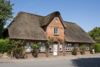 Frisian house, thatched house, Alkersum, Föhr, North Sea island, North Frisia, Schleswig-Holstein,