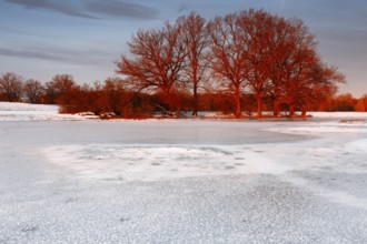 Winter floods 2024 on the Elbe and Mulde rivers with flooding of the meadows, ice on the meadows