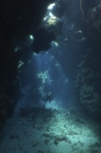 A lone diver in a dark underwater cave with rays of light, dive site Dangerous Reef, St Johns Reef,