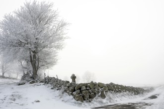 Aubrac plateau. Stone path cross in winter. Lozere department. Occitanie. France