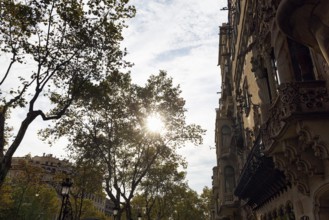 Artfully decorated façade, backlight, rays of sunlight in autumn, Casa Amatller, Passeig de Gracia,