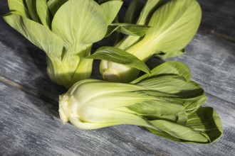 Fresh green bok choy or pac choi chinese cabbage on a gray wooden background. Hard light, contrast.