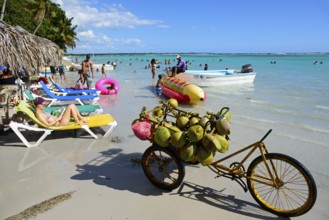 Caribbean beach with clear water, coconut sales and tourists sunbathing, Boca Chica, Santo Domingo