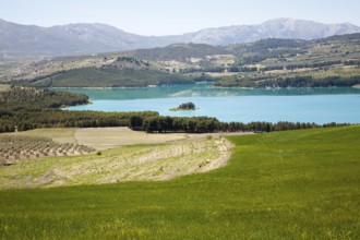 Los Bermejales Reservoir lake in Arenas del Rey, Granada province, Andalusia, Spain, Europe