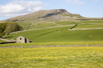 Carboniferous limestone scenery Pen Y Ghent, Yorkshire Dales national park, England, UK from Horton