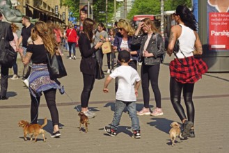 Germany, Hamburg, City, Mönckebergstraße, Two young woman and boy with three small dogs, Hamburg,