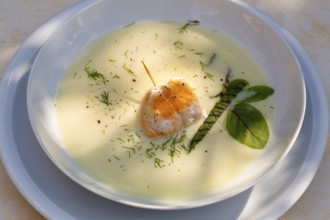 Southern German cuisine, sorrel soup with char, freshwater fish, soup arranged in a plate, herbs,