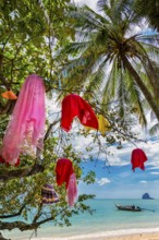 Colourful lamps in the tree at Pasai beach, holiday, travel, tourism, beach holiday, beach holiday,