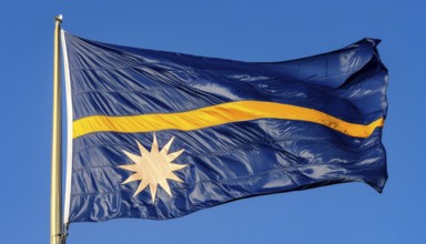 The flag of Nauru, an island nation in the Pacific Ocean, flutters in the wind, isolated against a