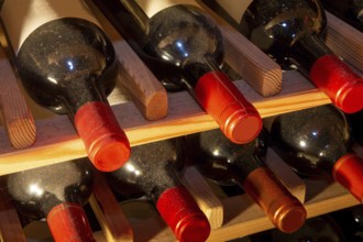 Wine cellar with red wine bottles