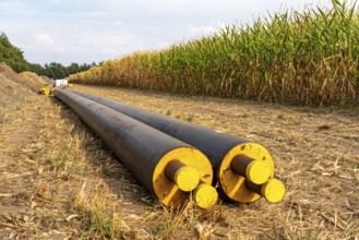 Laying of district heating pipes, next to a field, with maize, the district heating comes from a